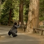 Two young Japanese tourists