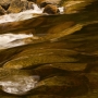 Tenaya Creek at Mirror lake