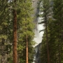 Upper and Lower Yosemite Falls
